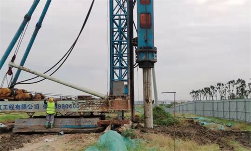 玉湖冷鏈深度融入四川國際供應鏈建設，推動施工工程高效落地