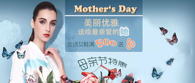 網(wǎng)絡(luò)廣告設(shè)計(jì)與軟件開(kāi)發(fā) 數(shù)字營(yíng)銷(xiāo)的雙引擎